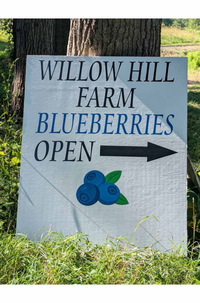 @Willow Hill Farm