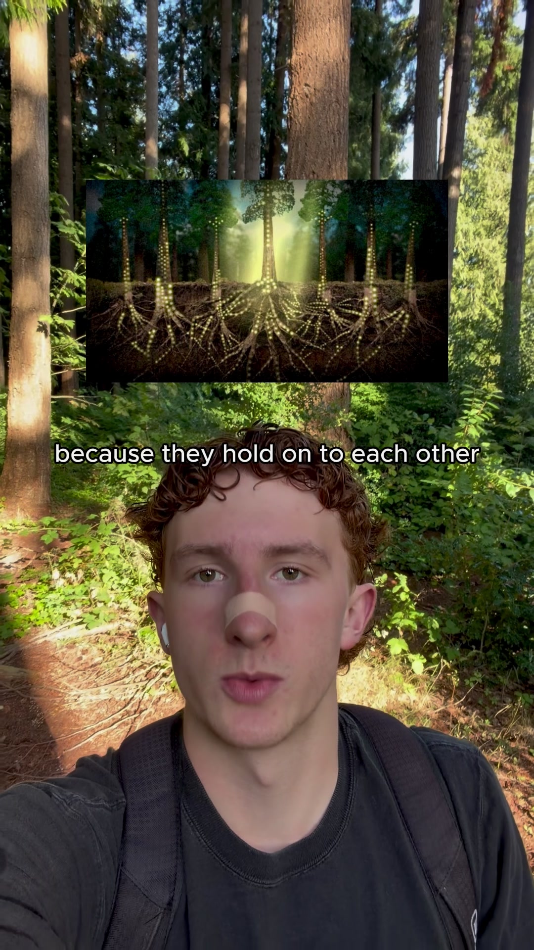 @tavelarocque