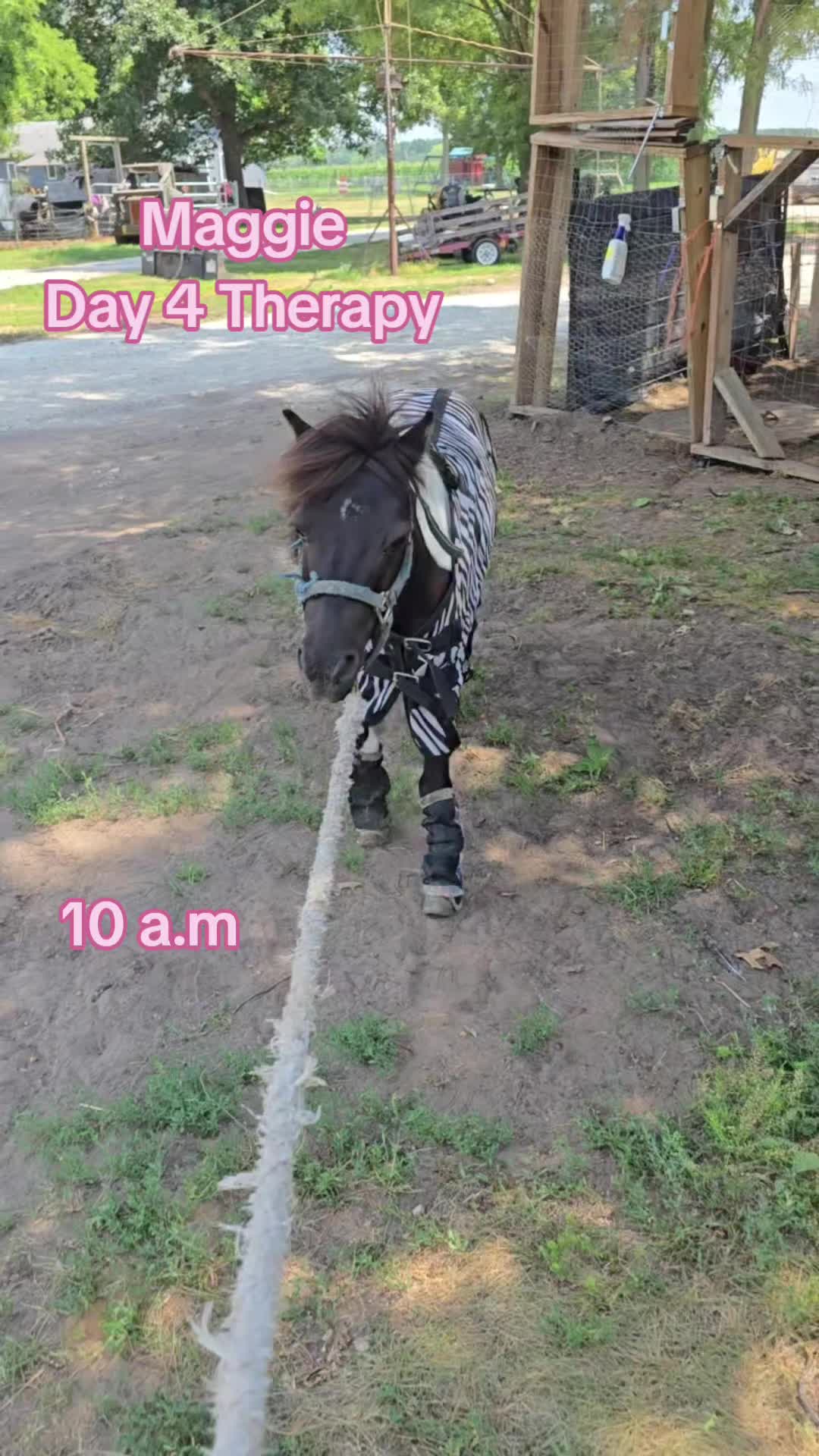 @Small Town Farm LLC