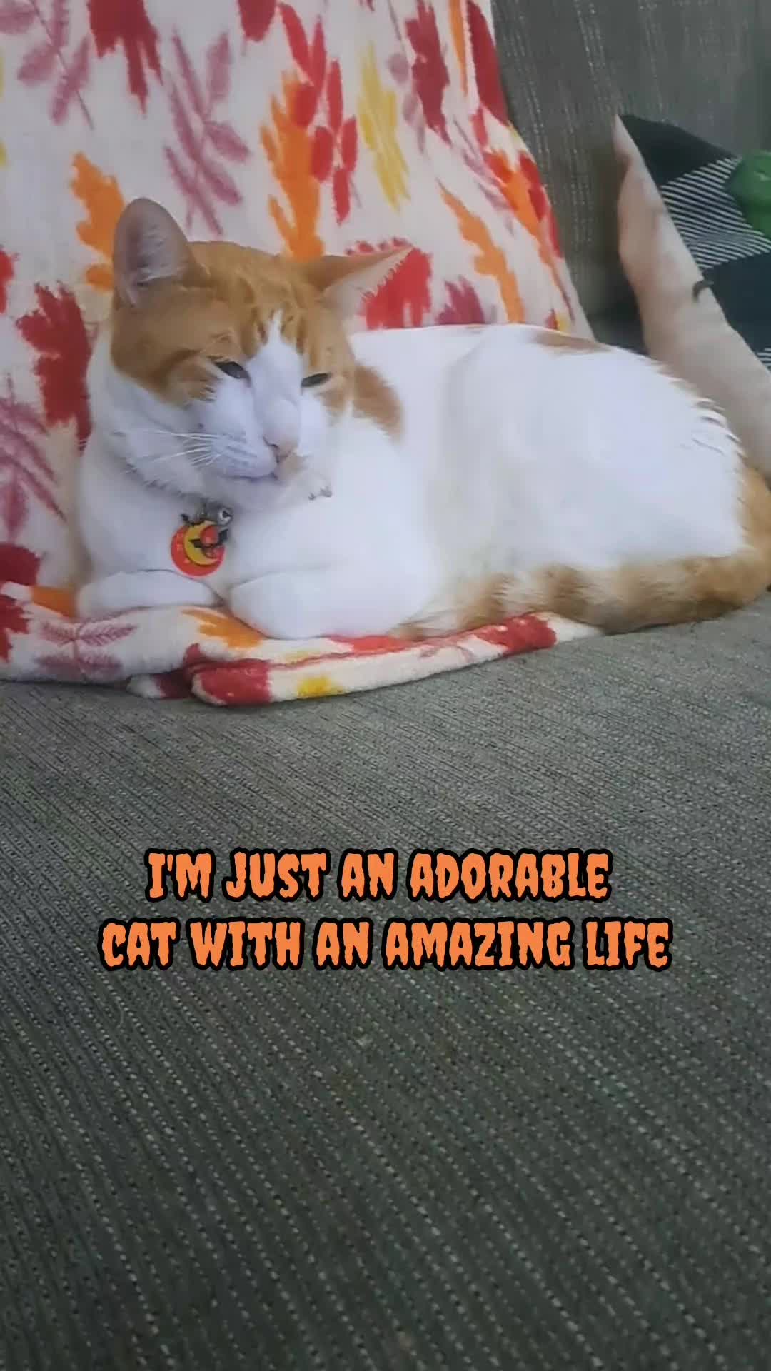 @Candice & Weasley