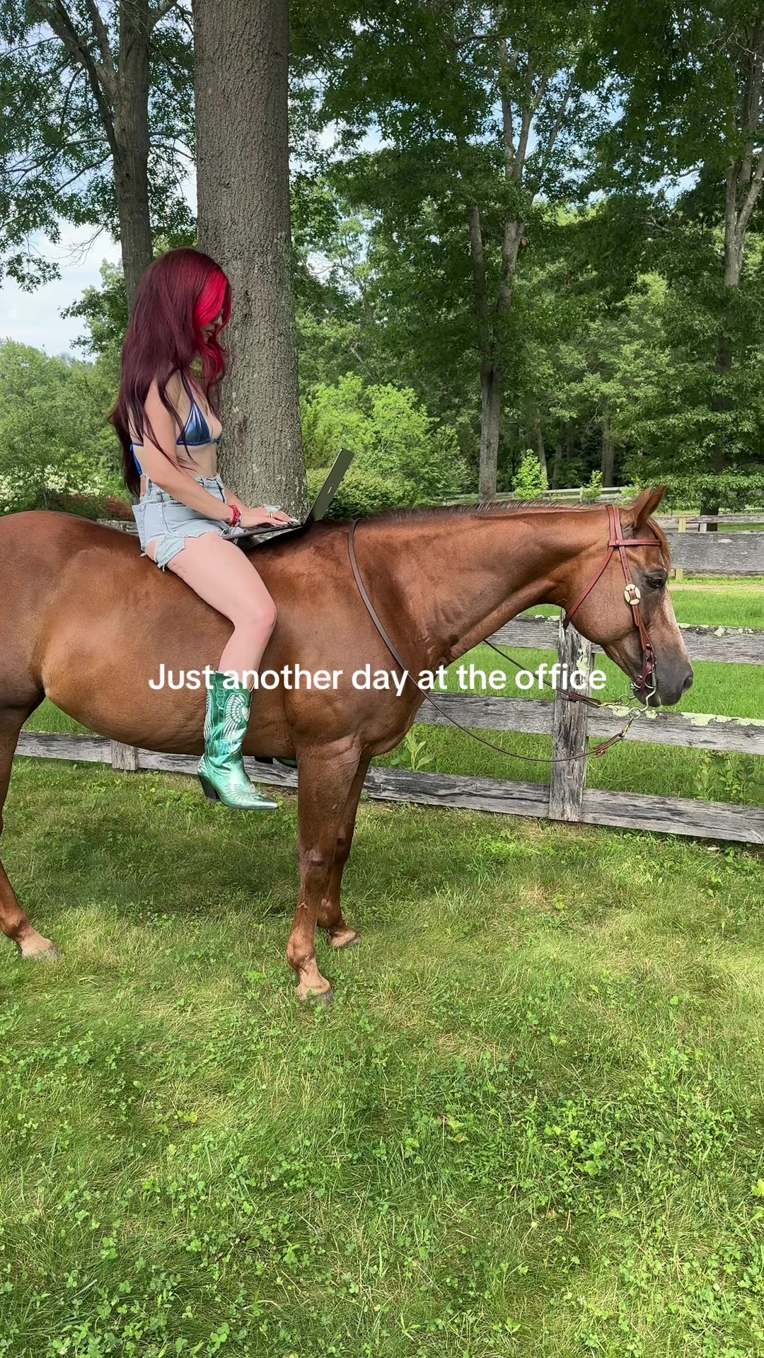 @RewildingAmericaNow