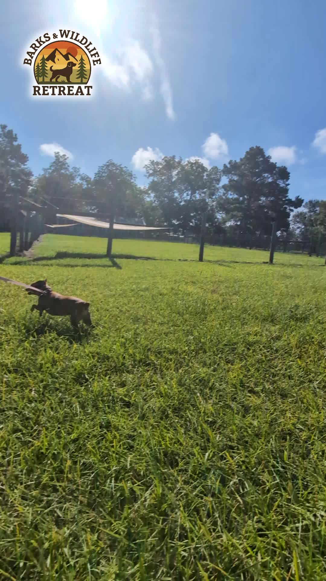 @Barks & Wildlife Longville LA