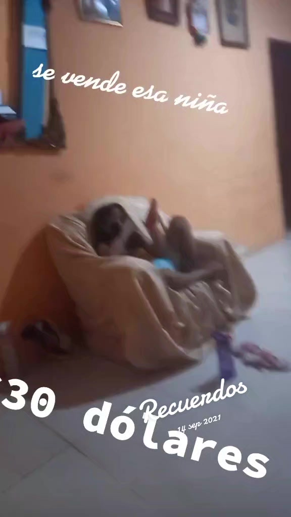 @JESÚSBSC26