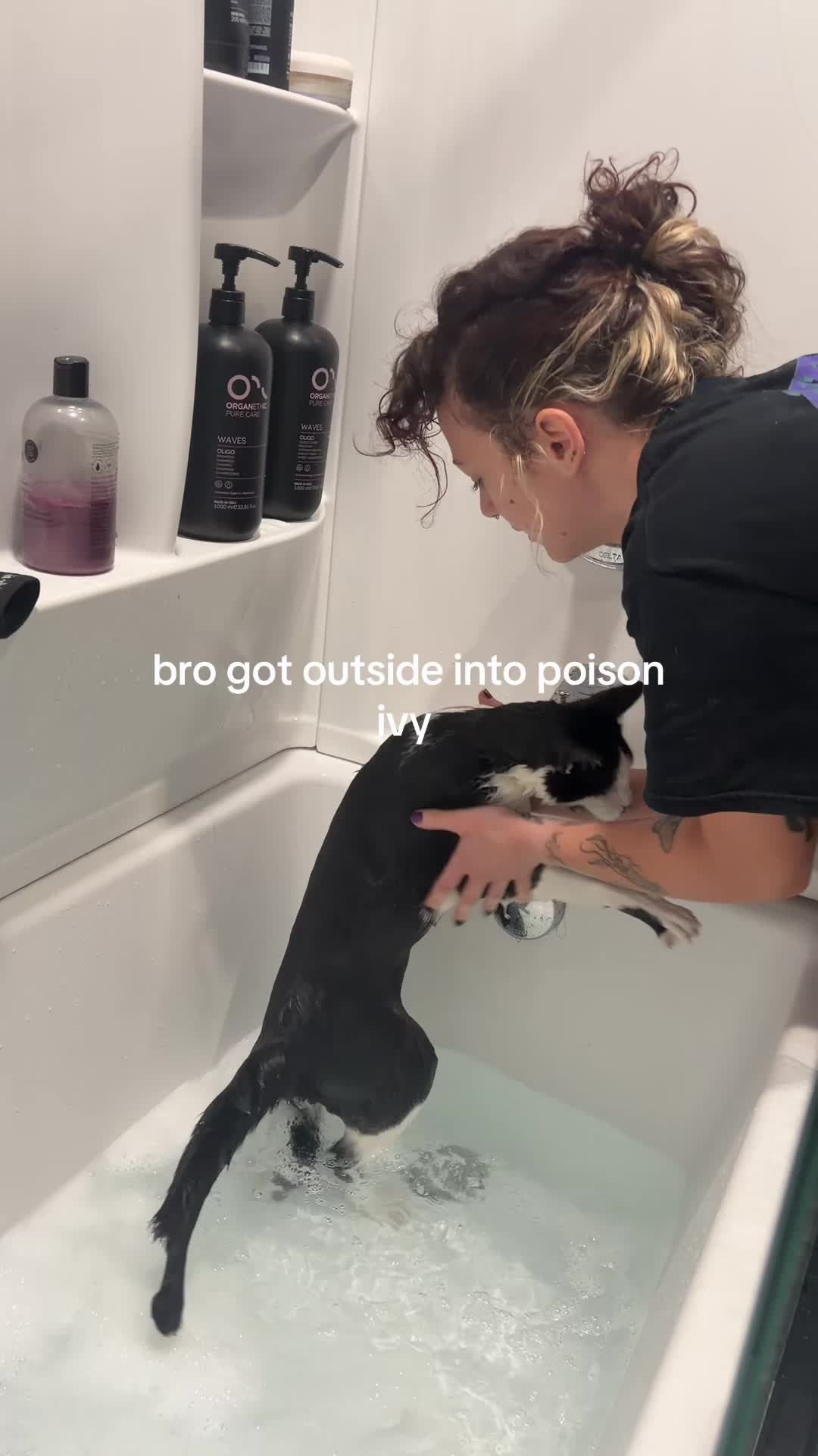@vampirisms_