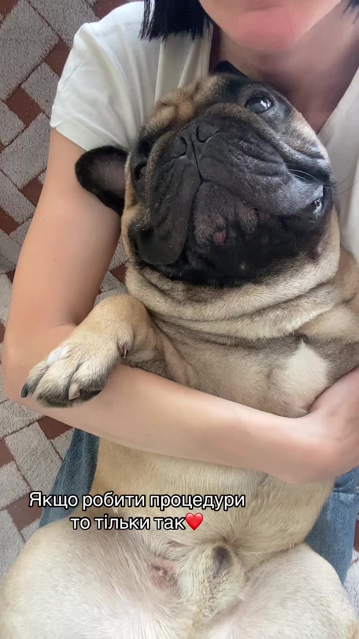 @_holly_bulls_