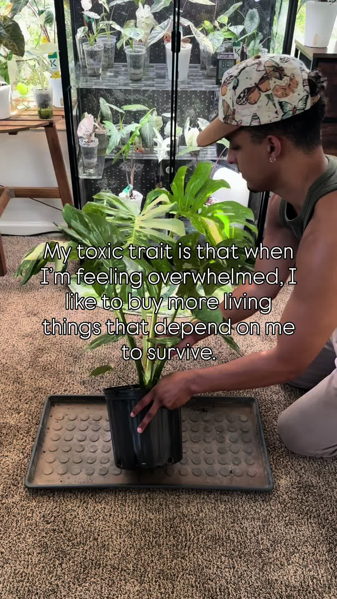 @RarePlantNinja