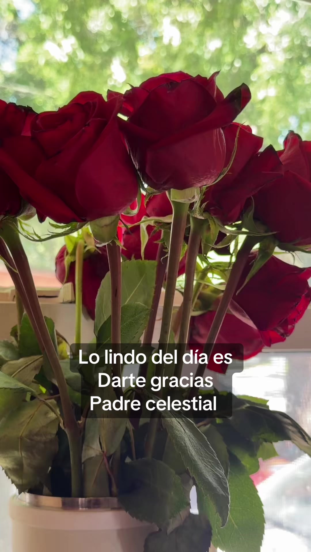 @Maricela Chavarria