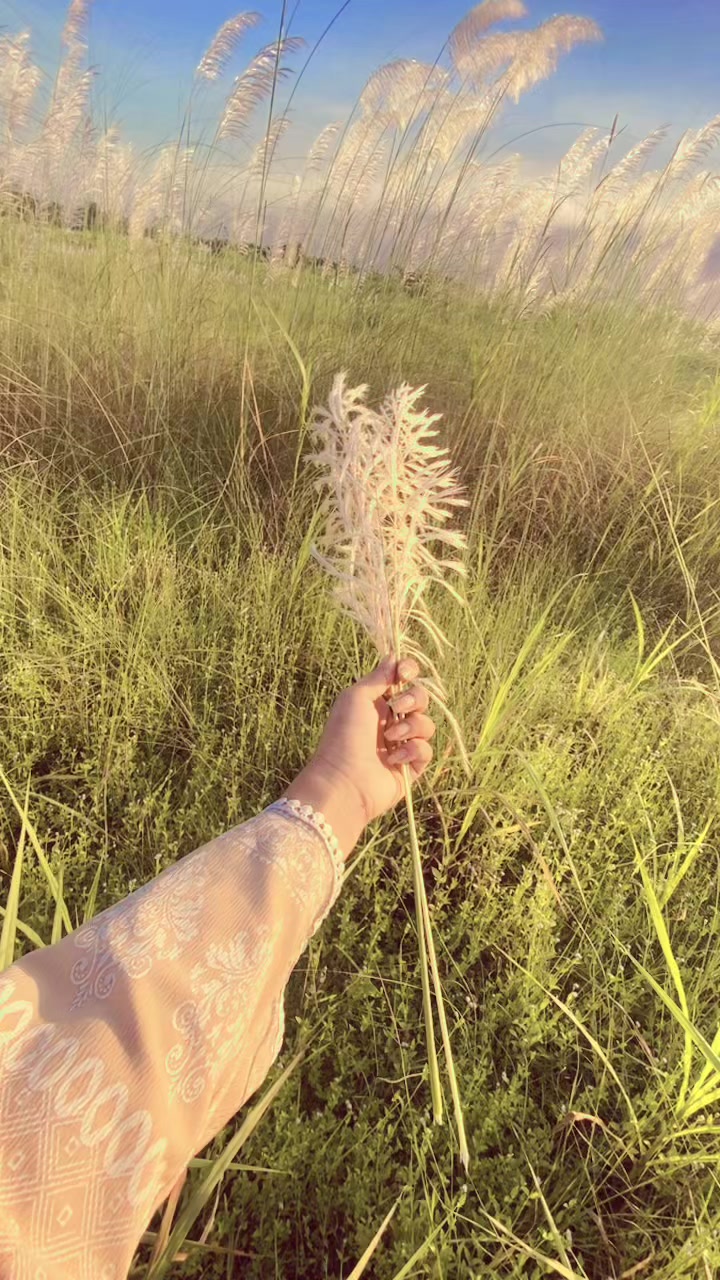@𝐄𝐯𝐚 𝐀𝐩𝐮:)🦢