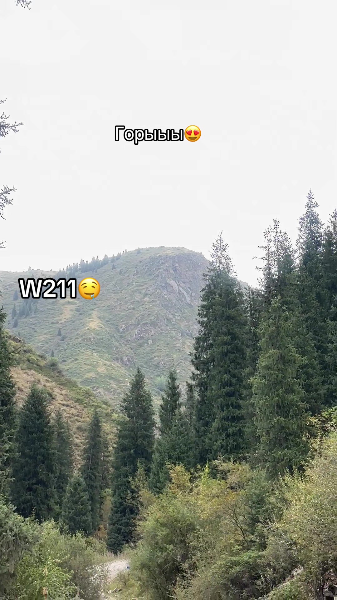 @bezzzzzzumniy