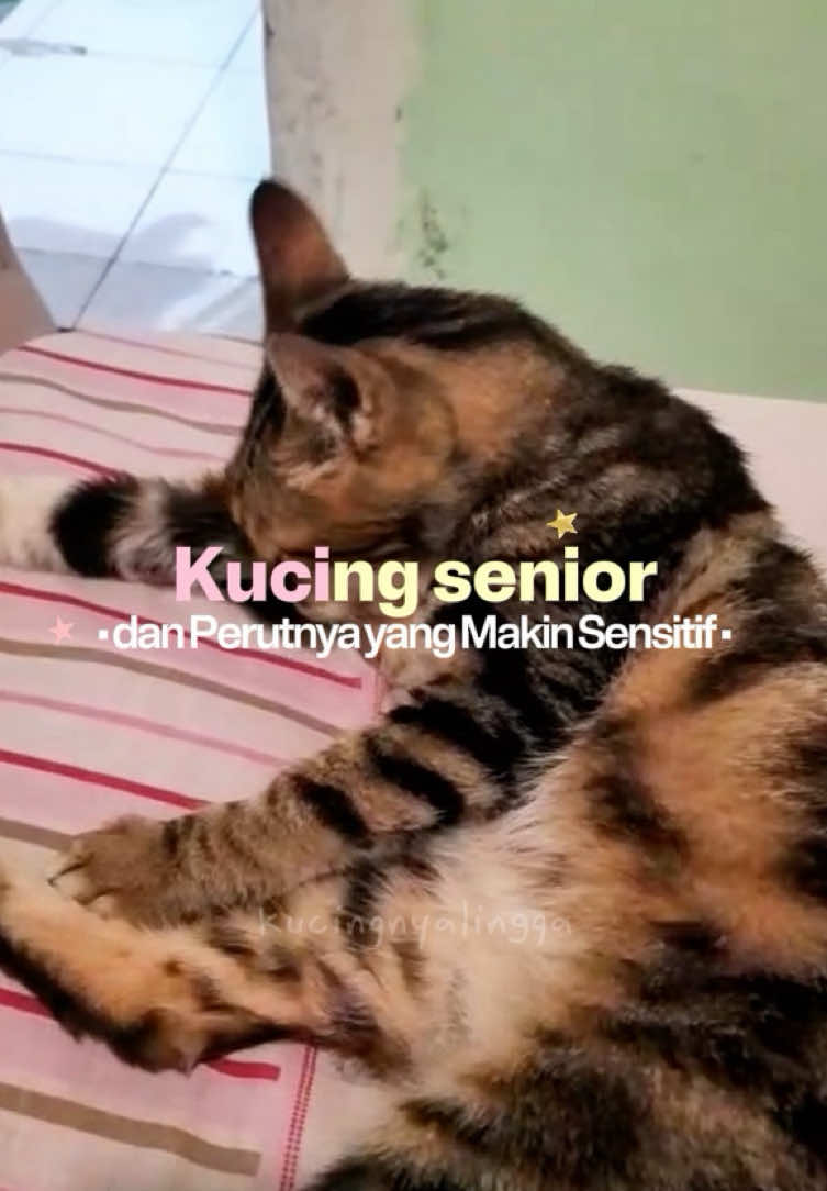 @kucingnyalingga🍉