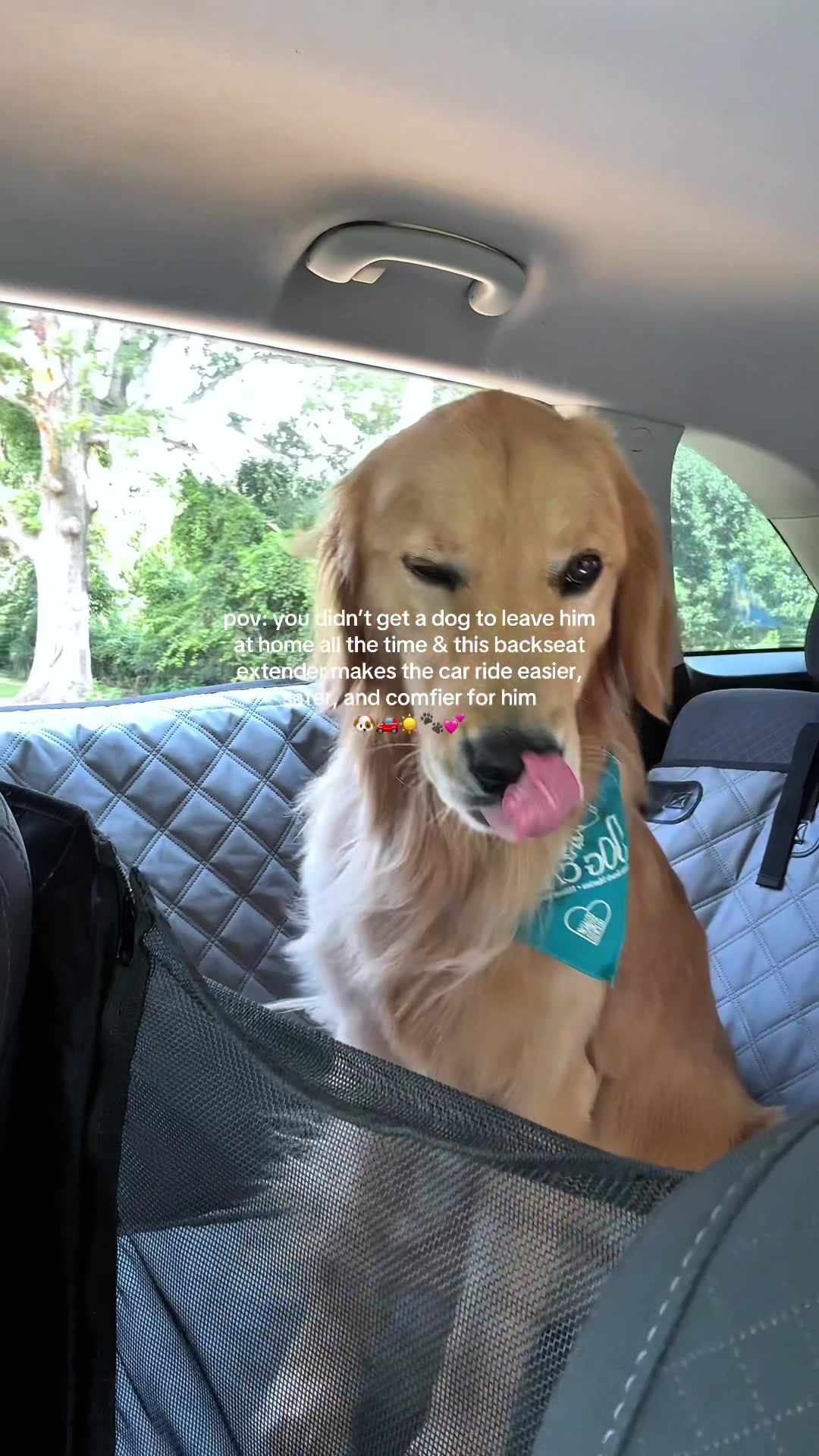 @Josi B🦮