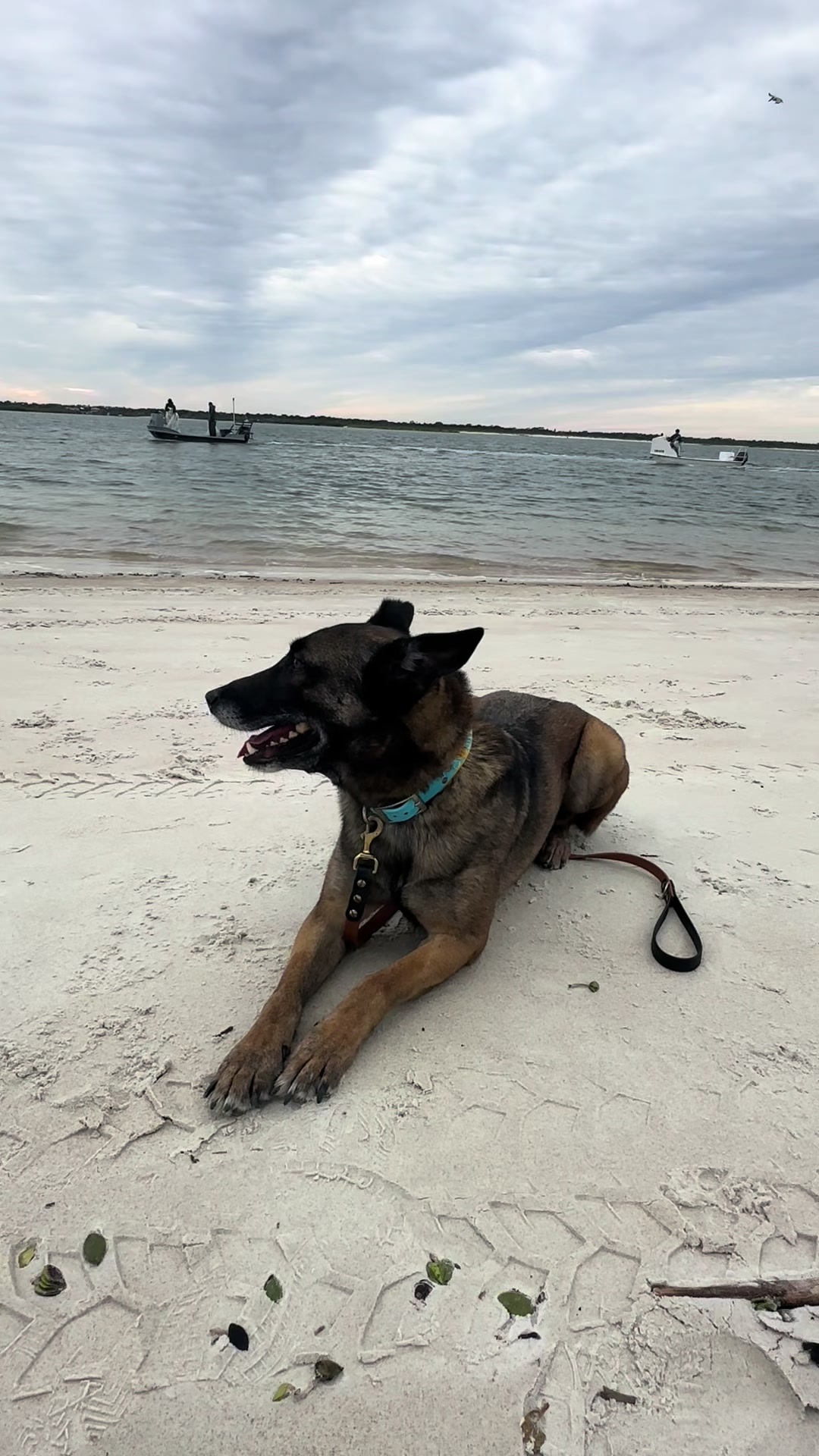 @K9.corporal