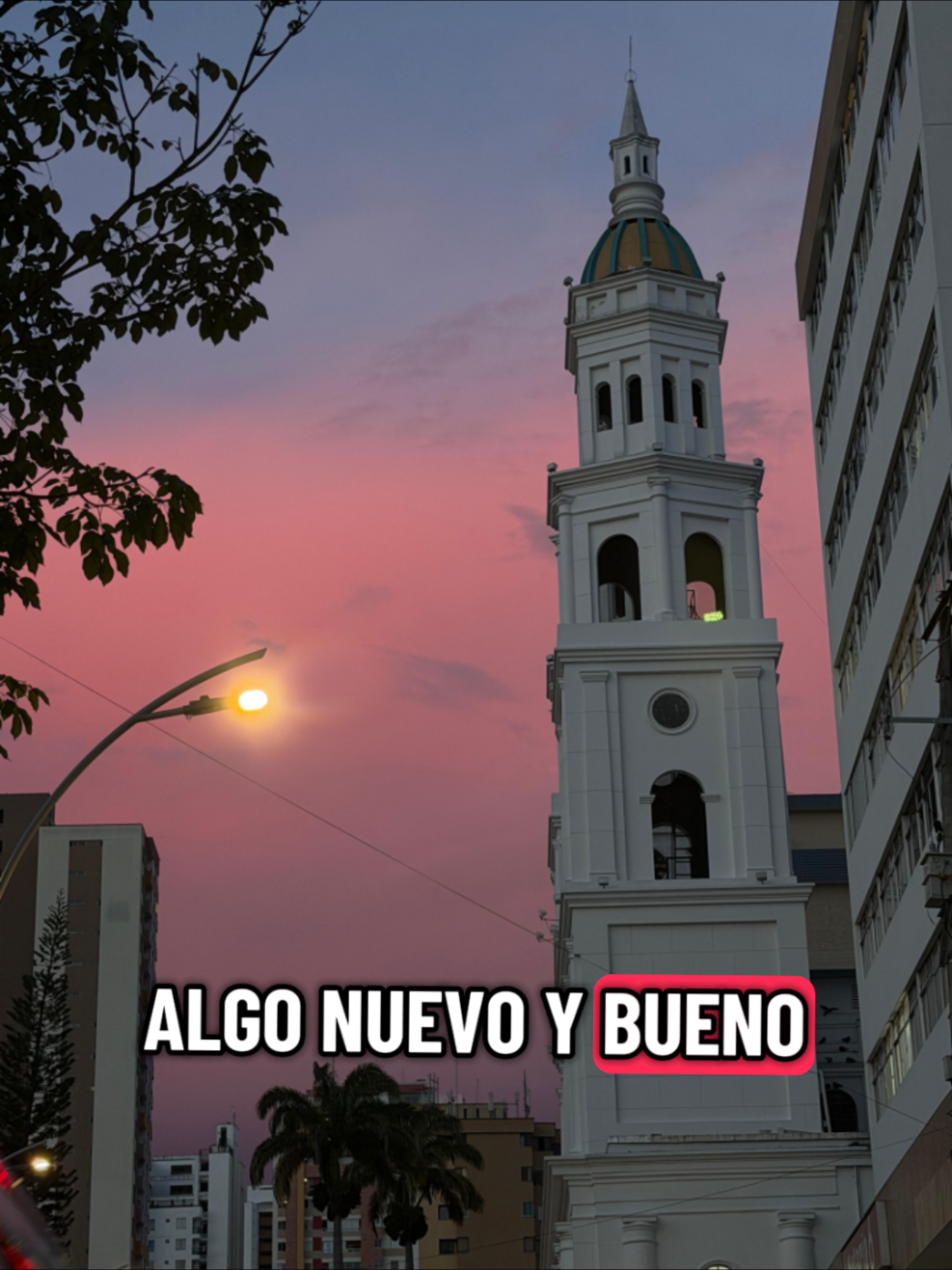 @Liliana Zabala Mendoza