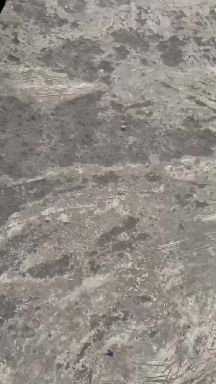 @𝐏𝐚𝐬𝐡𝐦𝐢𝐧𝐚𝐑𝐚𝐜𝐢𝐧𝐠_