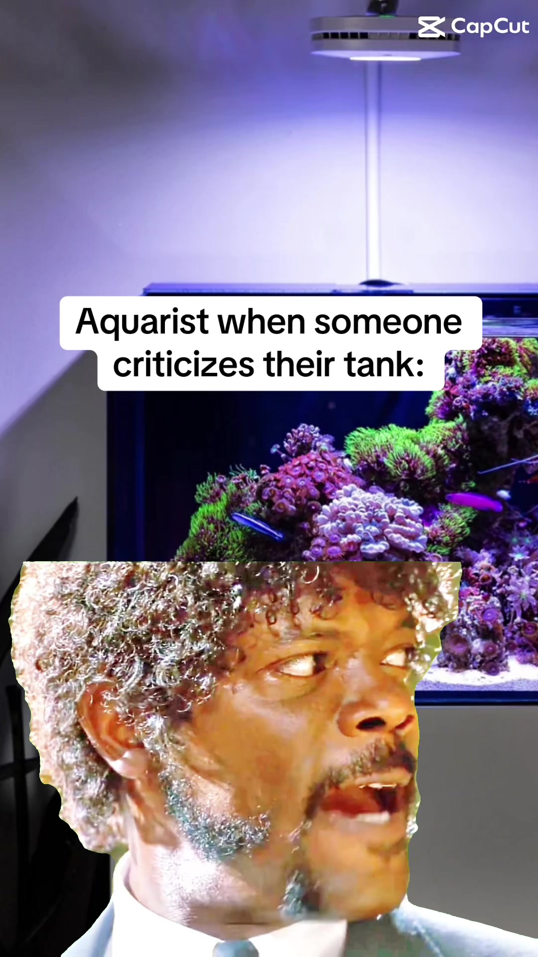 @ReefTok