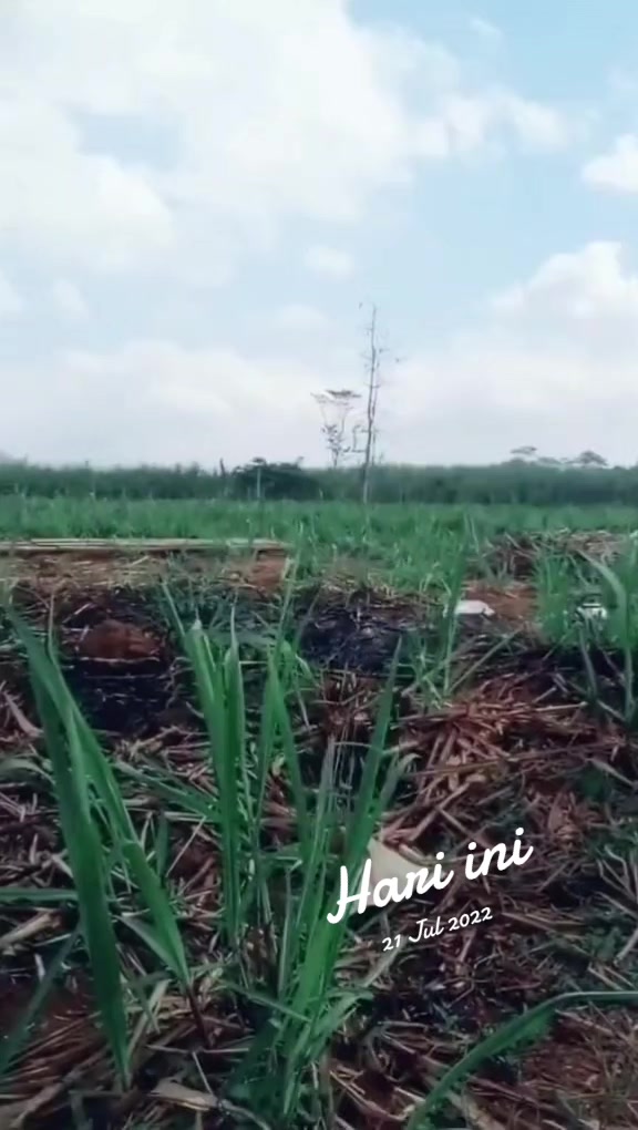 @bangjuanda591