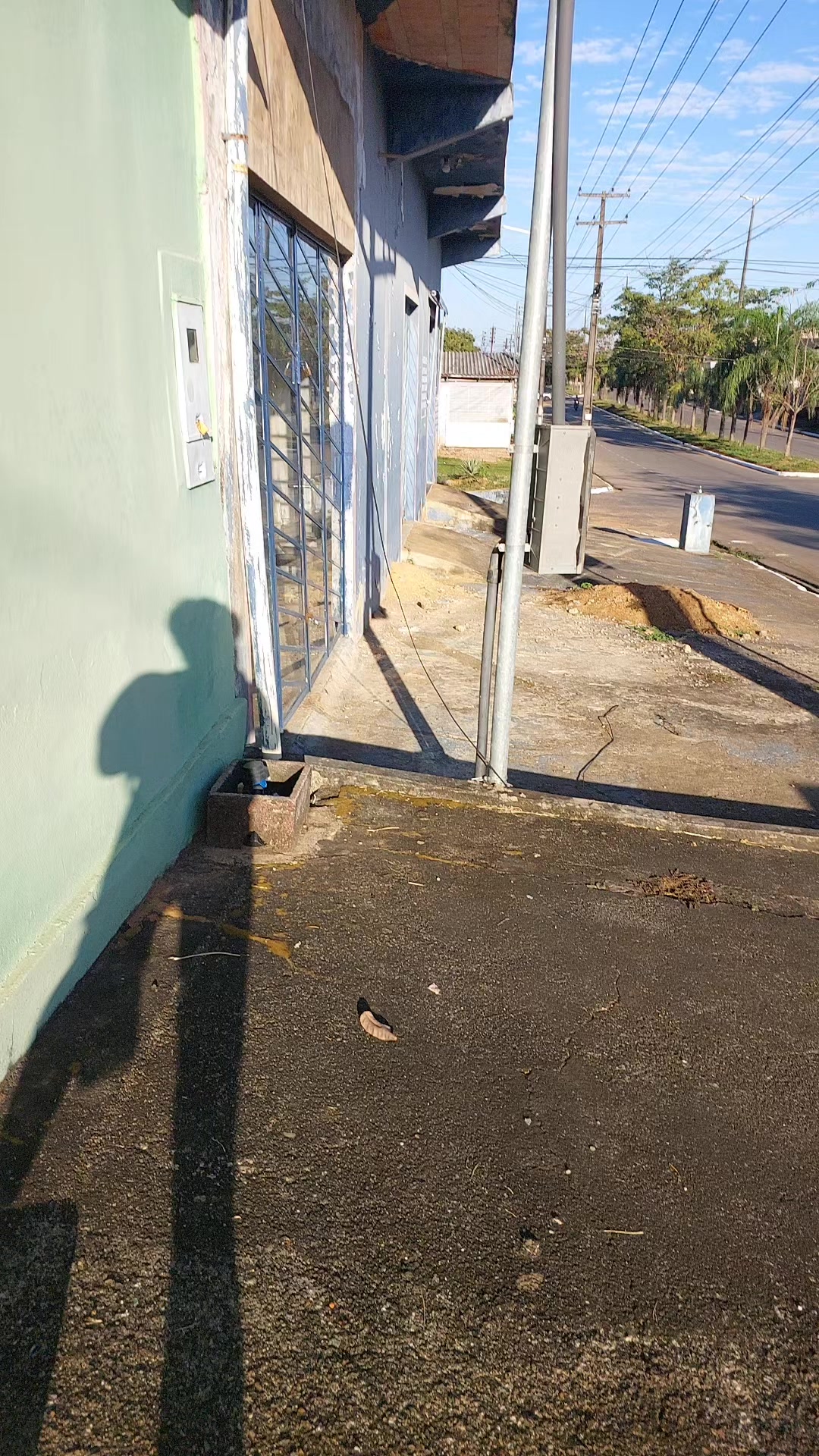 @MarciaValois123