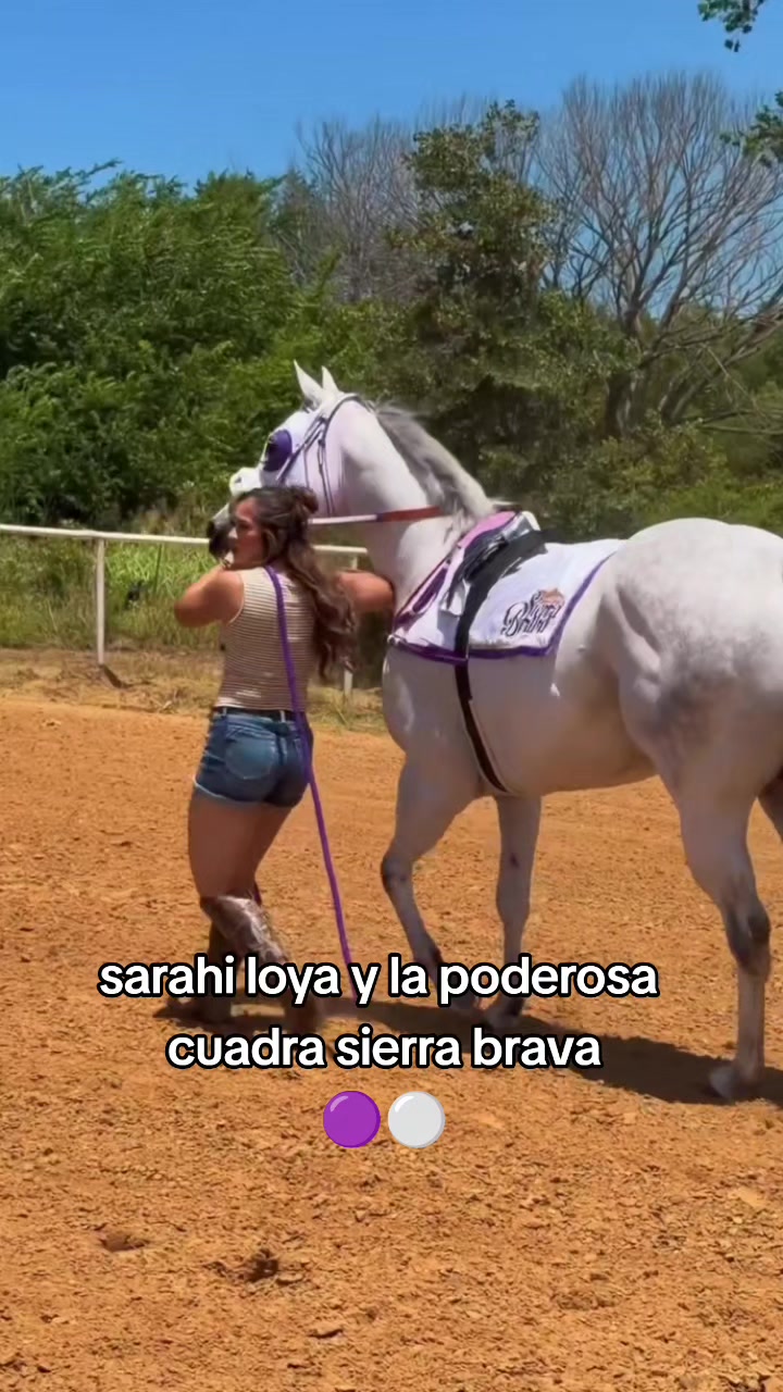 @carriles altos de jalisco🐎