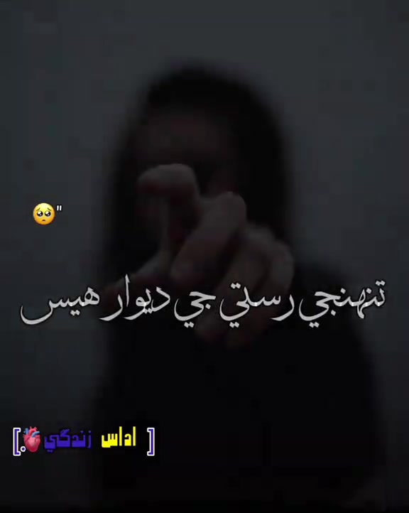 @Fatima-Ali