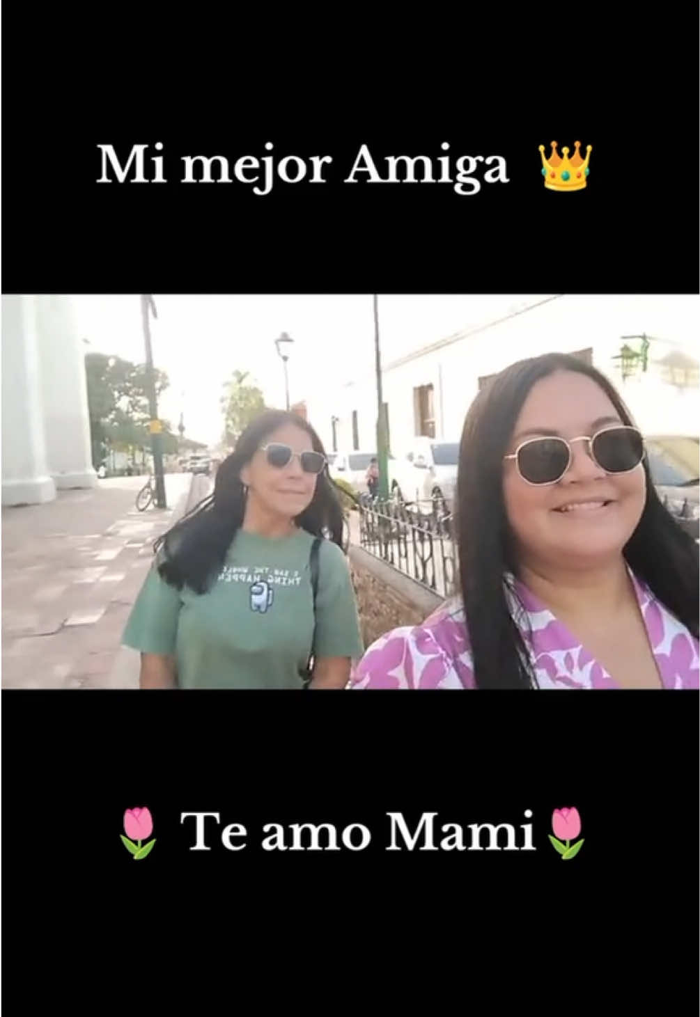 @🌿Ver&oacute;nica de Castellanos🌿