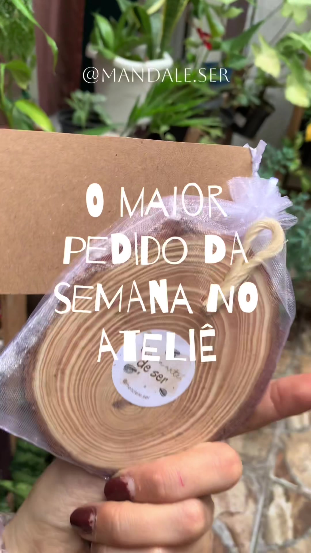@D&eacute;bora Silva