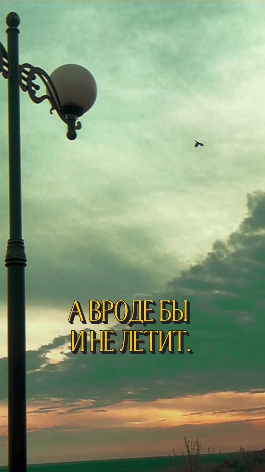@Саня