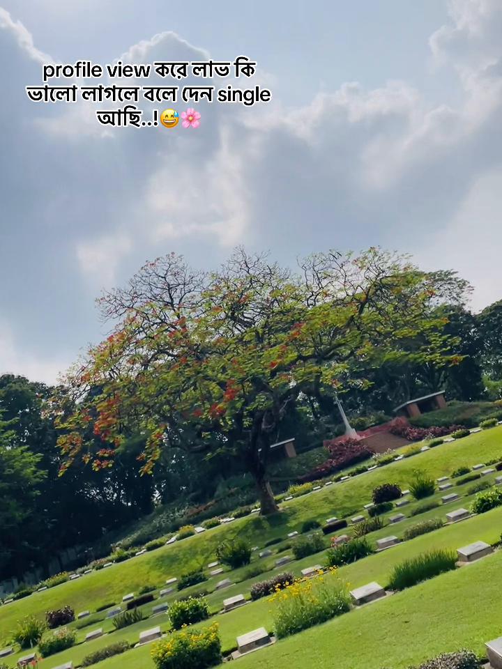 @S ~đī¸īŖŋ