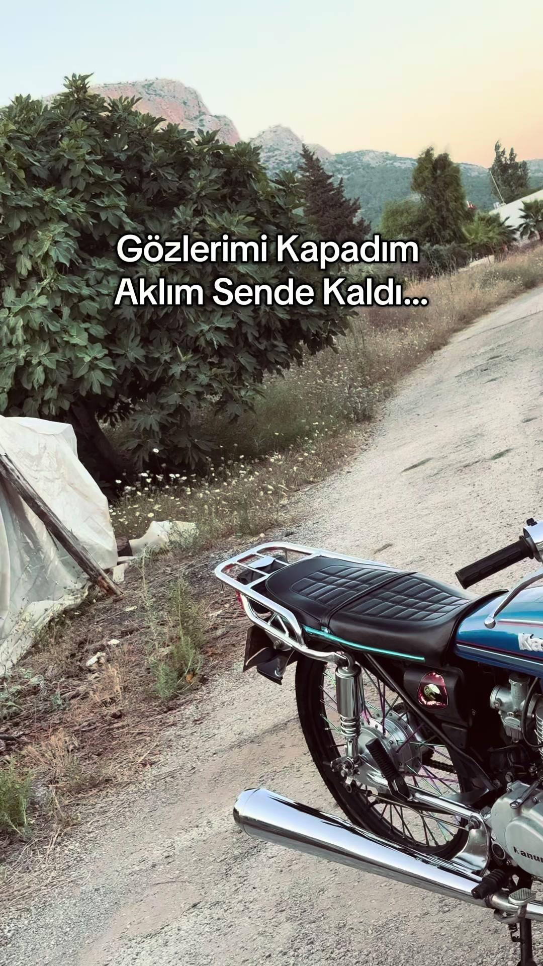 @kutlubulut0