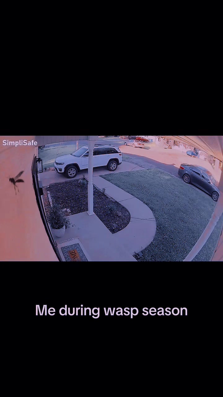 @Manuel Nunez