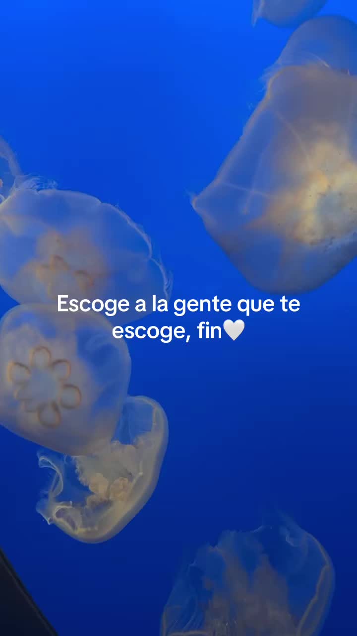 @💜😈 Ａｎｎｄｉ 🦥✨🌶️