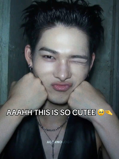 @โ. ๐
๐๐๐๐บ๐ผ๐ฉ .แ