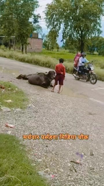 @Mr Happy Upadhyay
