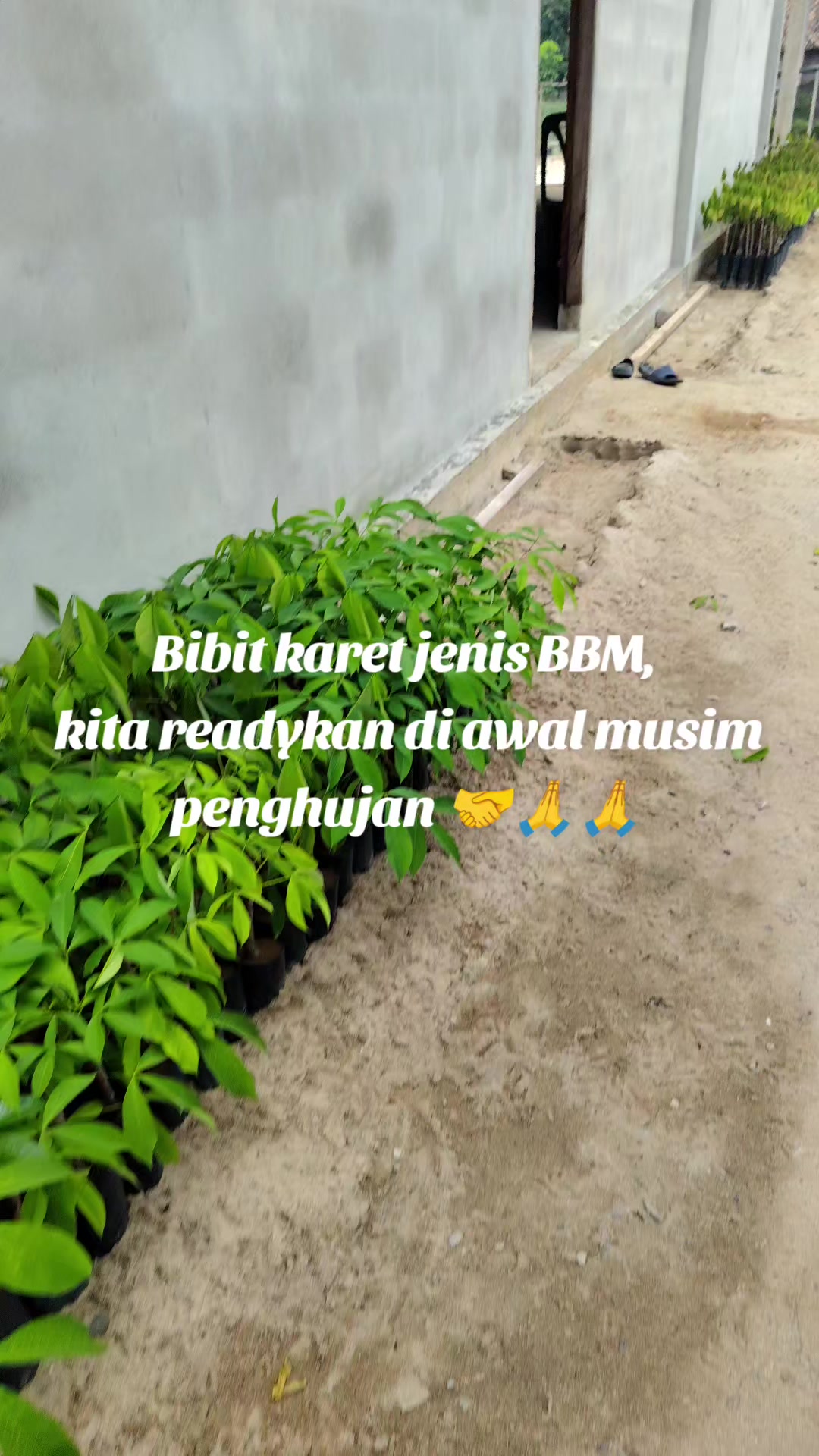 @Usman Iswanto