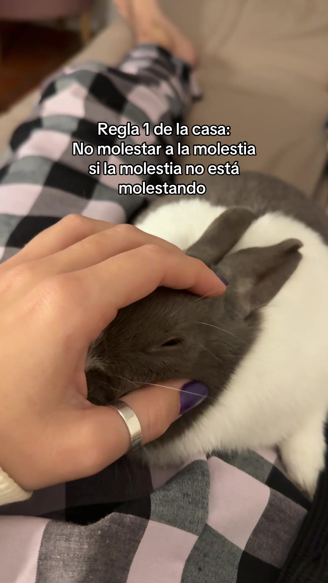 @Abril