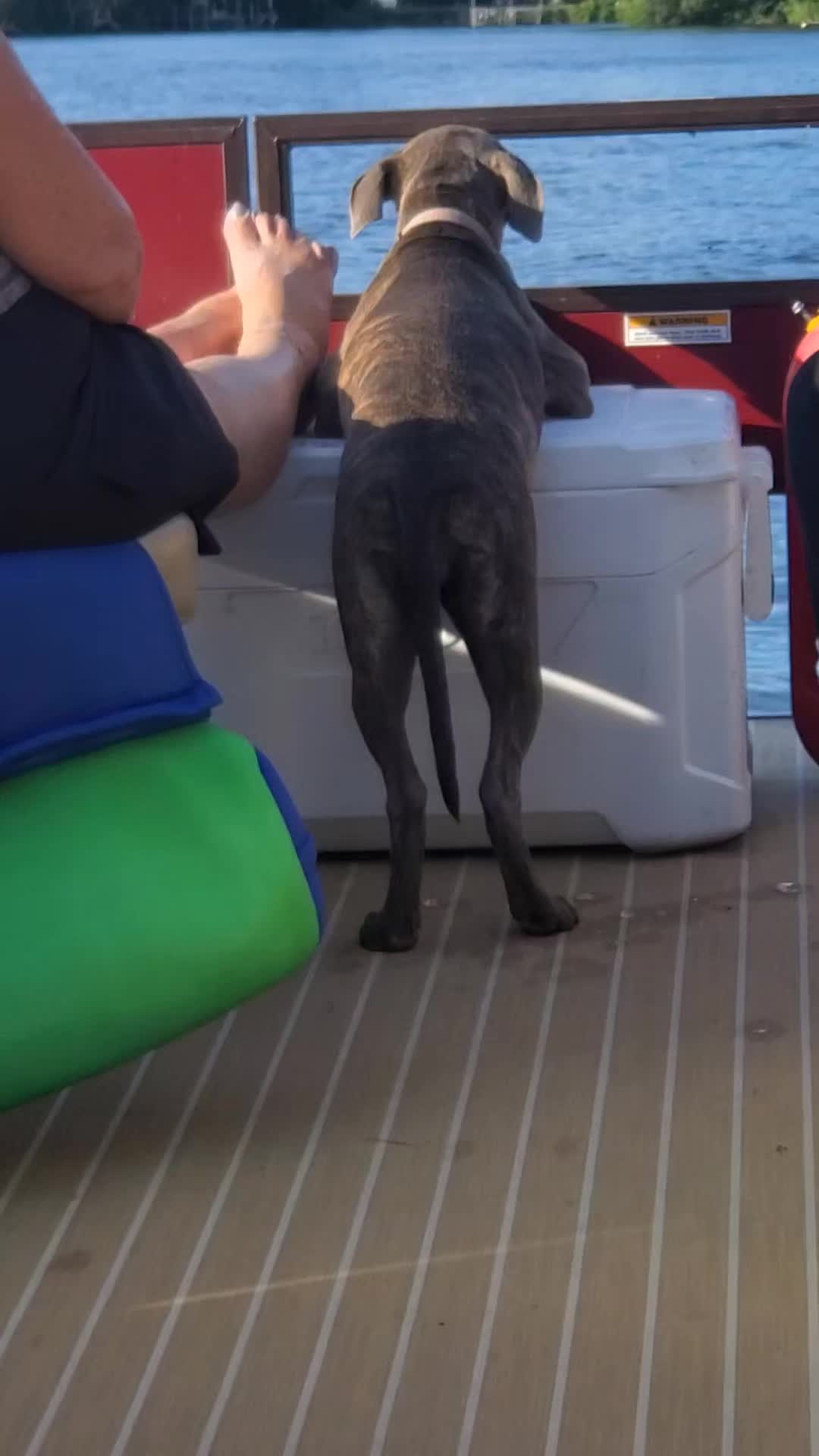 @kelly7777