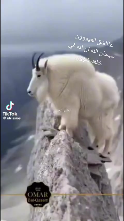 @عٌأّأّأّأشٍقِ أّلَعٌيِّوِوِوِن