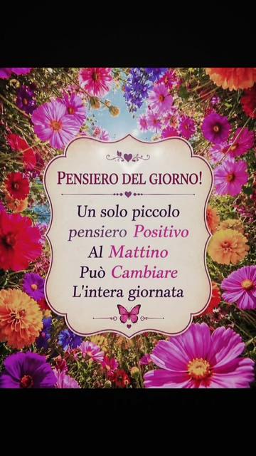 @dino606389