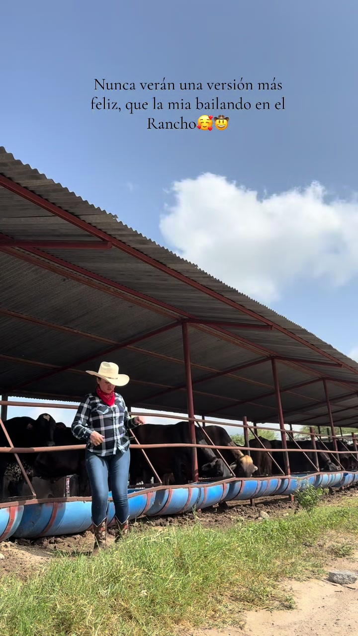 @Beatriz50204🐎🤠