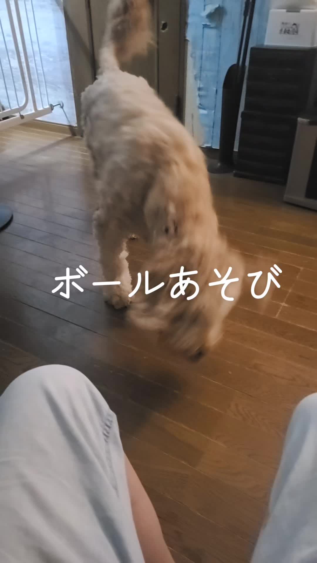 @沙亜代