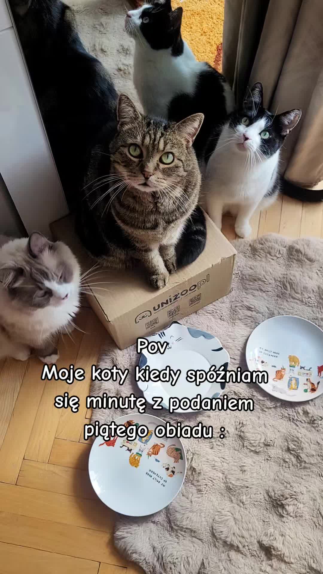 @😻Ekipa Świrka 😻