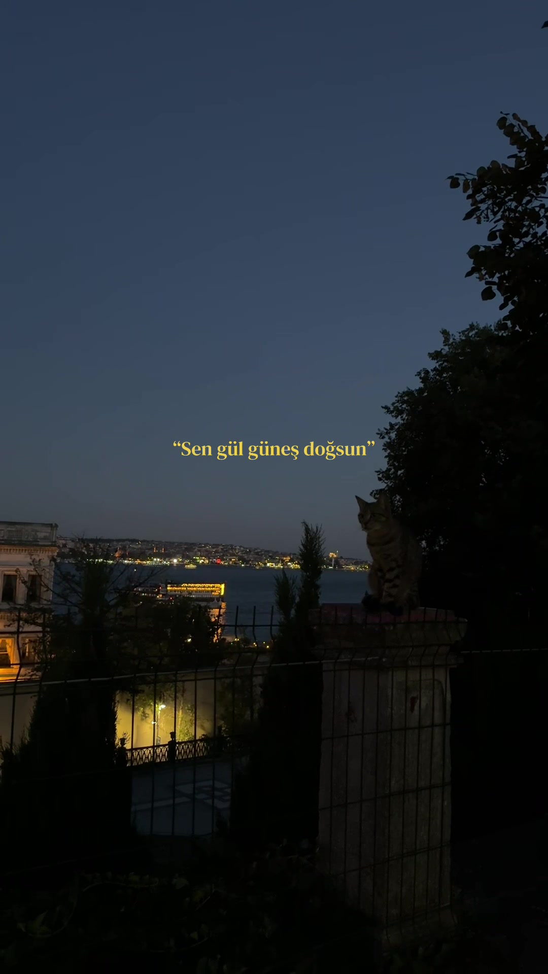 @Ayaz D.