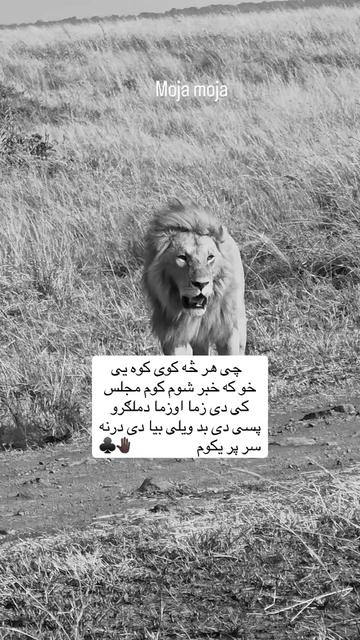 @🥷🏿کــــپــــچــــه🥷🏿