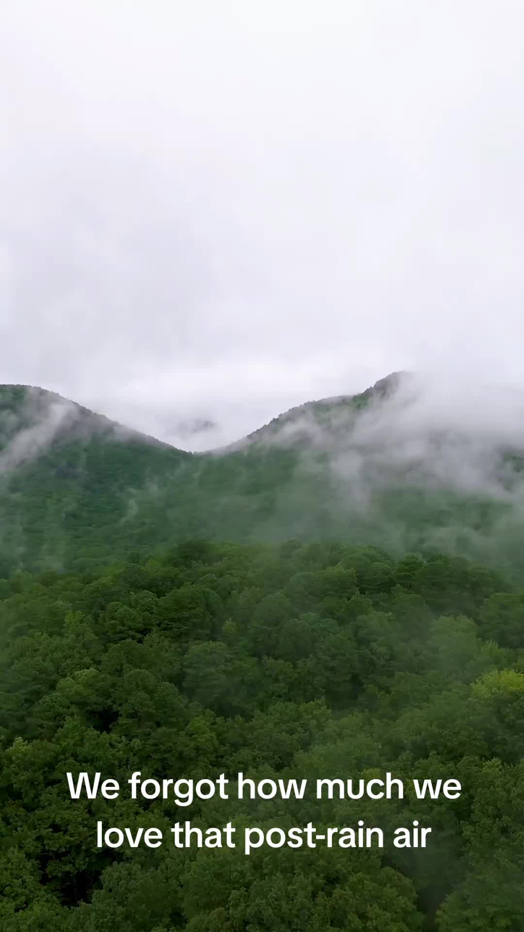 @Wander North Georgia