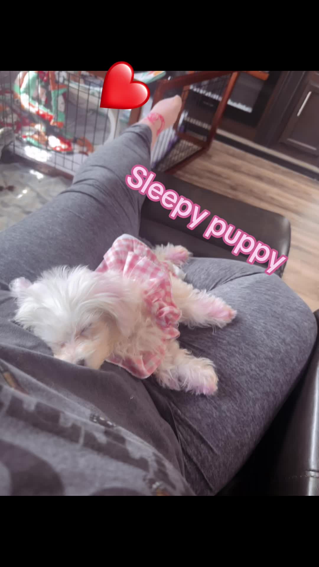 @sophialove093