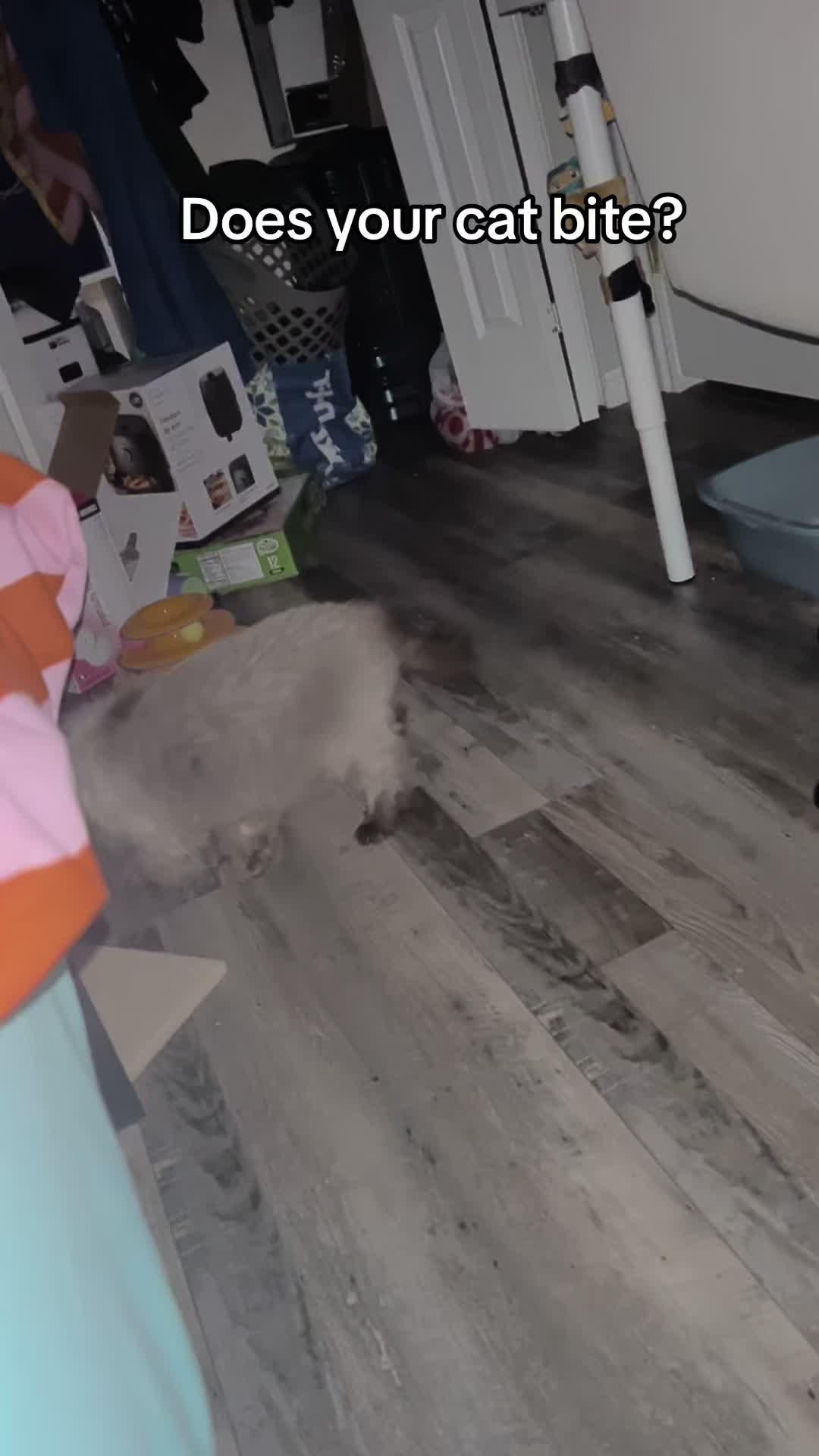 @Erika