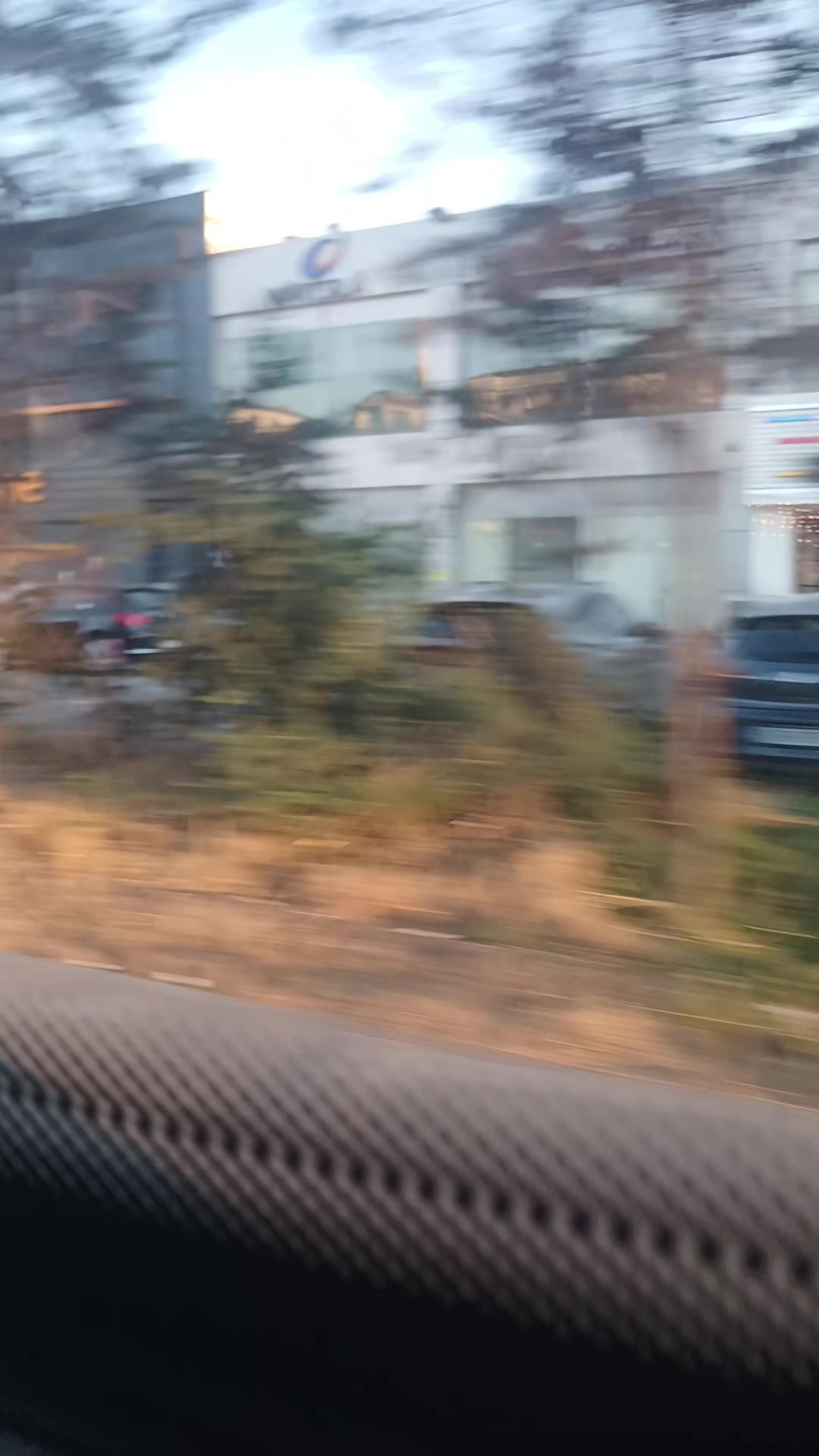 @mav&icirc;ş