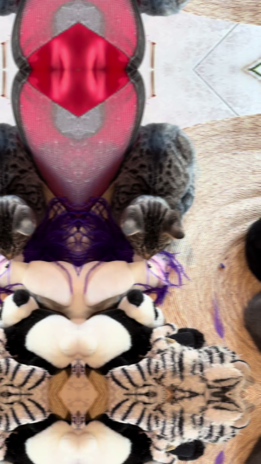 @purrrmeow