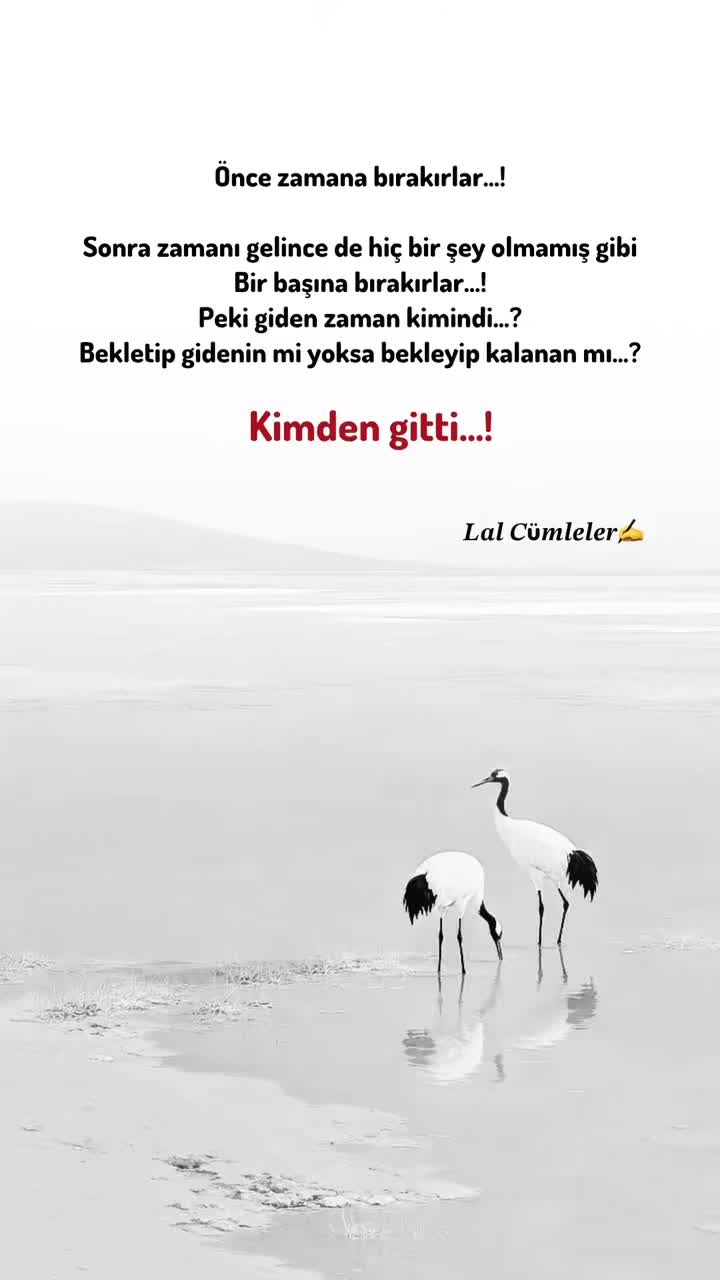 @𝑳𝒂𝒍 𝑪ü𝒎𝒍𝒆𝒍𝒆𝒓✍️