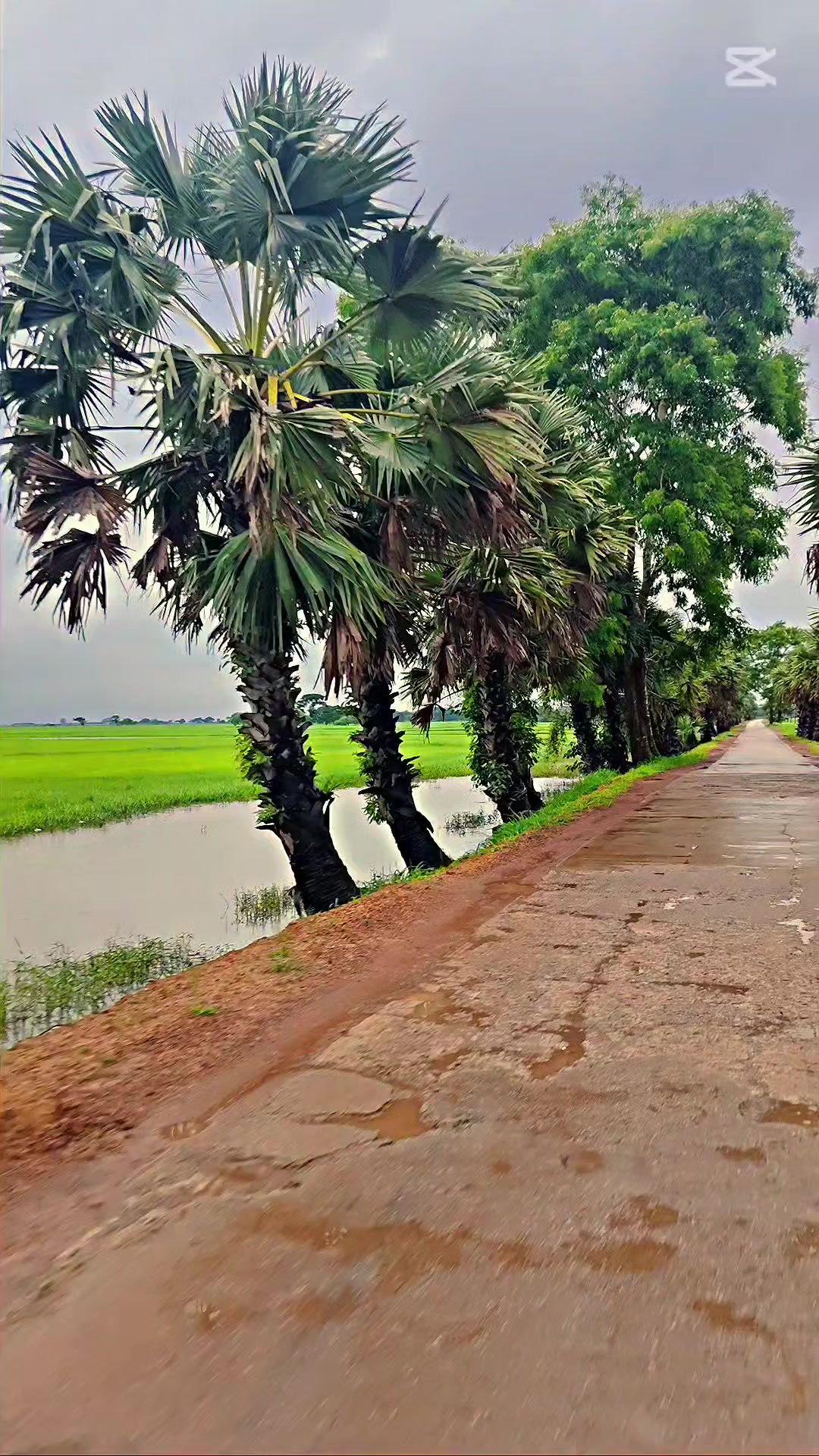 @Myanmar(Burma)Tamilanda🕉☪✝🛐