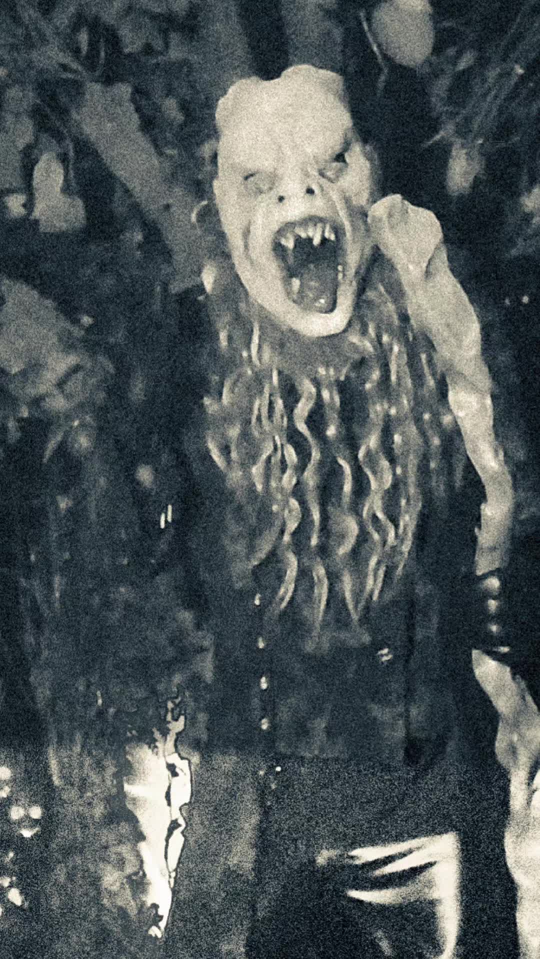 @DarkWonderland